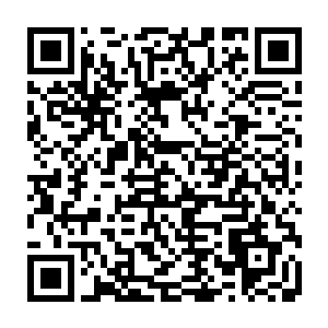张铁干脆又在黑铁之堡内练习了一遍才刚刚有一点模样的铁血神拳的36招散手二维码生成