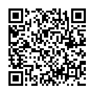 张铁意外的在潜龙堂的牌楼外面遇到了张海格和他的张海新二维码生成