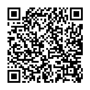 张铁端着一大盆用水泡开的小麦到广南王府的庄园里喂完鸟后回来二维码生成