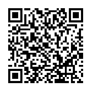 张铁脸上的表情已经条件反射一样的变得虔诚而自然二维码生成