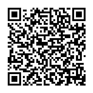 张铁觉得自己现在已经慢慢开始在这个看似苦活累活不是人干的活中找到了乐趣二维码生成