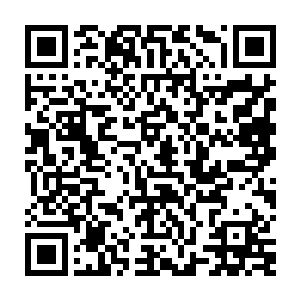 张铁记得在学校里的时候黛娜老师曾经说过如果遇到特殊情况身体失血过多的话二维码生成