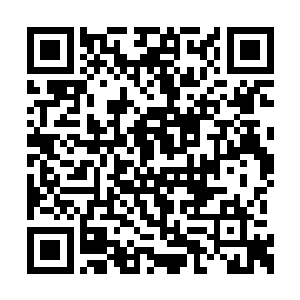 张铁这几天确实被潘多拉狠狠的锤了不知多少遍二维码生成