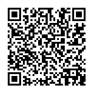 张铁这才想起来自己试炼之前开始的对酵母菌溶液的第一次变异进化已经完成了二维码生成