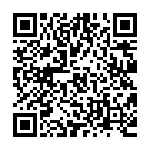 张阳终于忍不住在最后一条信息之中展露了自己的雄心抱负……二维码生成