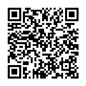 张靓并不在乎自己能在贡献度榜单上排在第几位二维码生成