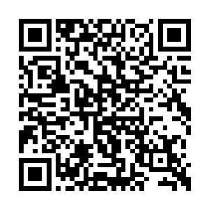 弯弯曲曲的藤条仿佛在他的手里变得活过来一般二维码生成