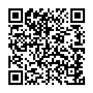 强森将两人扔到了船上 一摆手 那木船就朝着远处划去了二维码生成