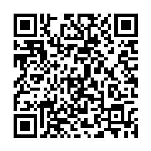 强行把陈长生杀死在国教学院里――只要动作够快二维码生成