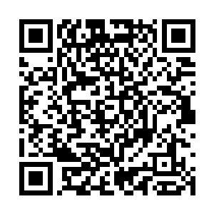 当一元宗的攻击队伍到达离他们最近的一个三品宗二维码生成