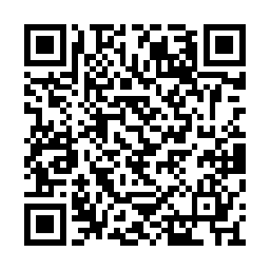 当世界通缉犯之后随便接个活就是几百万几千万二维码生成