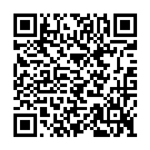 当主神碎片跟苏老爷子的身子完全融合到一起时二维码生成