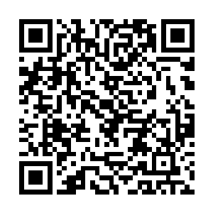 当他们在丧尸群中特立独行抱着扛着箱子回到基地时二维码生成