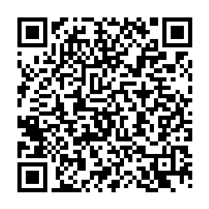 当他们看到城外黑衣老者跟白衣白马几乎同时展开一条直线上的捉对厮杀二维码生成