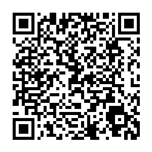 当你时不时的就能看到一大群硕壮的金枪鱼在你脑海的影像中滑过的时候二维码生成
