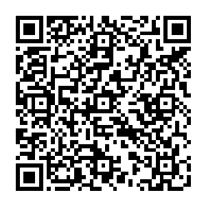当初他之所以拥有那么多的血脉点而没有把那些血脉点一次加在什么厉害的血脉上二维码生成