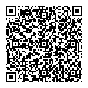 当初他若不是吃了这个 他也不会有如此强大的忍受力 要知道 他虽然是要将之境 但绝大部分都是來自于自己的天赋二维码生成