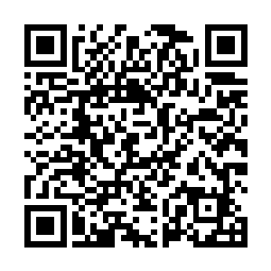 当初你们天玄宗追杀我父亲的时候怎么就不说自己过分二维码生成