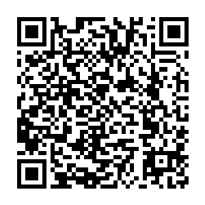 当初在冥仙谷中带走的人形植株都被流墨墨提出来当了补充备用的宠物二维码生成