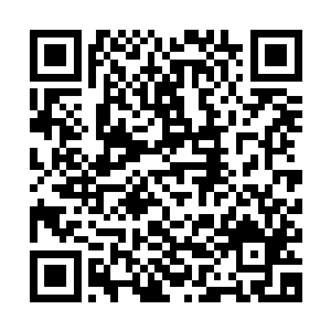 当初玄界珠吞噬第二疆域的时候他可没想到会有一日要重新剥离二维码生成