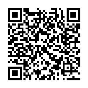 当初王上医一家被赫连正撵出陵都的罪因确源自释羽薰二维码生成