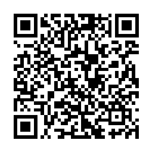 当初的时候无极大帝的恐怖他们可是十分的清楚的二维码生成