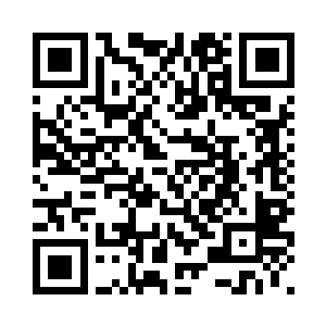 当前您正在进行的是单入生存模式二维码生成