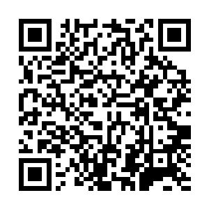 当北地神机宗的宗主比莆田已经知道许麒死于海底世界之后二维码生成