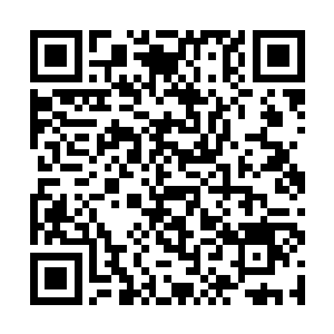 当医生走进加护病房确认完金在珉根本没有好转之后二维码生成