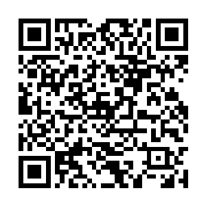 当卢卡斯不知道第几次弯腰俯身去筐里拿球的时候二维码生成