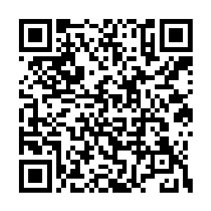 当地的电视里就播出了医院发生爆炸事故的画面二维码生成