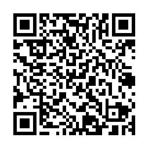 当天这些新兵蛋子们是怎么会到的自己的营地他们已经不记得了二维码生成