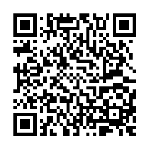 当娃娃以一副义正言辞的姿态当着无数观众的面说出这句的话时二维码生成