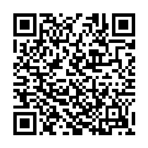 当年以修行一睡千古之法的非至尊硬抗至尊不败而惊世二维码生成