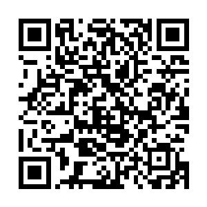 当年杨开为了炼化这一棵从不知名的乾坤洞天中得到的子树二维码生成