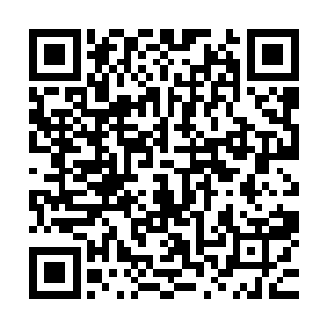 当年的隐世家族就算是退成了一般家族的实力恐怕也是鸡头啊二维码生成