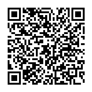 当年的魔界尊者就是修炼了类似的功法才成为首个飞升仙界的魔修二维码生成