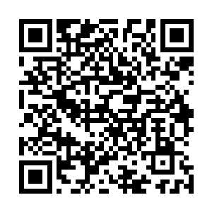 当年这青蛇殿和赤蛇殿的先祖不过只是我巫咸门的看门神兽二维码生成