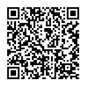 当我听说如今木灵们的四分之一的财政收入源于化妆品和美容产业二维码生成