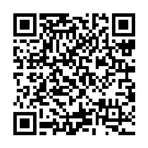 当战争巨兽这看似蕴含着无穷大力的一脚重重的踏在地上时二维码生成