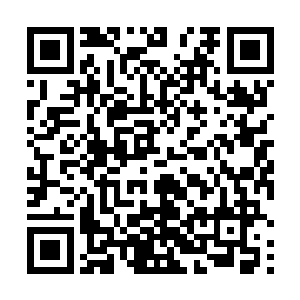 当时为什么要瞒住邵华把一切的罪名背负在自己身上呢二维码生成