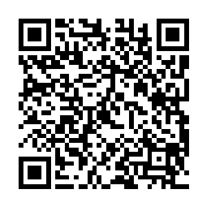 当时他们也只是在人群比较少的地方走了一段小小的路二维码生成