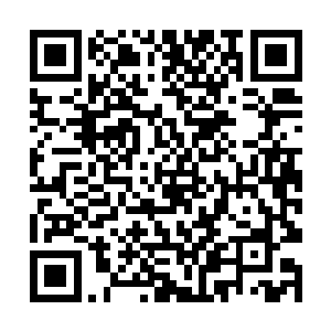 当时他在龙虎门圣王的空间戒指内寻找那张能卷轴时二维码生成