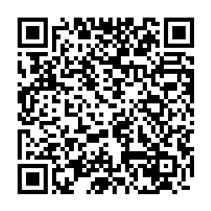 当时会长交代这灵石只有灵师公会可能会遭遇灭顶之灾的时候才能激活二维码生成