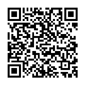 当时对李红枫那样也是存了一份满足自己不良嗜好的把戏罢了二维码生成
