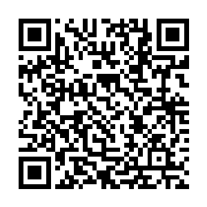 当时李成器只让我接管了个十二年一修真世代的小界二维码生成