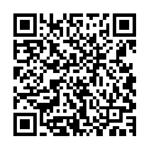 当时王金旺的金牛集团已经是咱们省里数一数二的医药公司了二维码生成