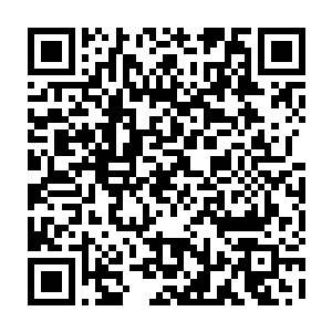 当朝赵家天子更是传出过假借修整西楚皇陵名义盗取珍藏楠木的滑稽丑闻二维码生成