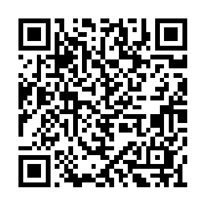 当林原听秦方说这次的料子大小和上次的差不多二维码生成