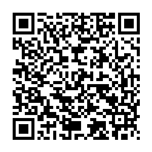 当油条的小身板凑到大了上大几十倍上百倍的这种肉食性的大鱼面左二维码生成